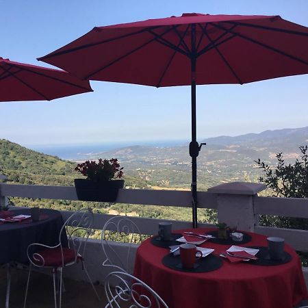 U Riposu Di A Cupulatta Bed & Breakfast Sollacaro Bagian luar foto