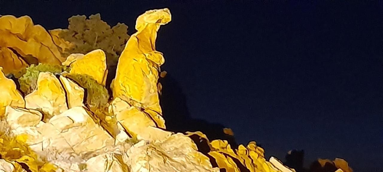 U Riposu Di A Cupulatta Bed & Breakfast Sollacaro Bagian luar foto